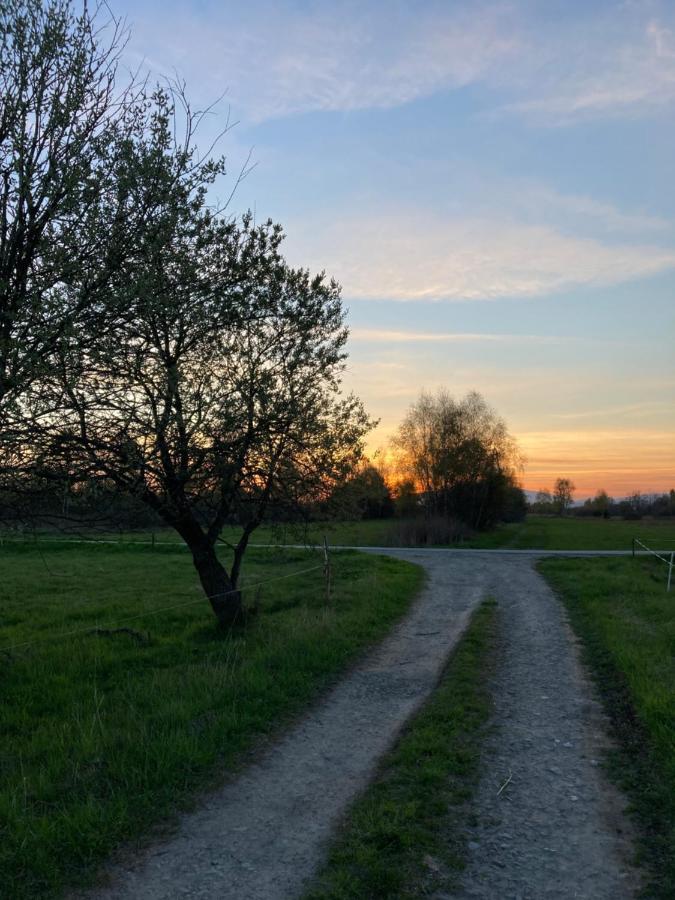 Domki Gorskie Szlaki Czarny Dunajec Exterior foto